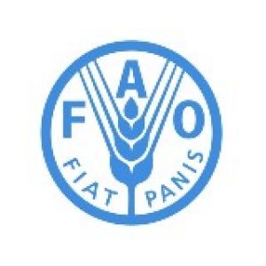 fao_logo_050517_9d345